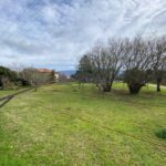 Terreno llano en venta en Curras a 5 minutos de Tui